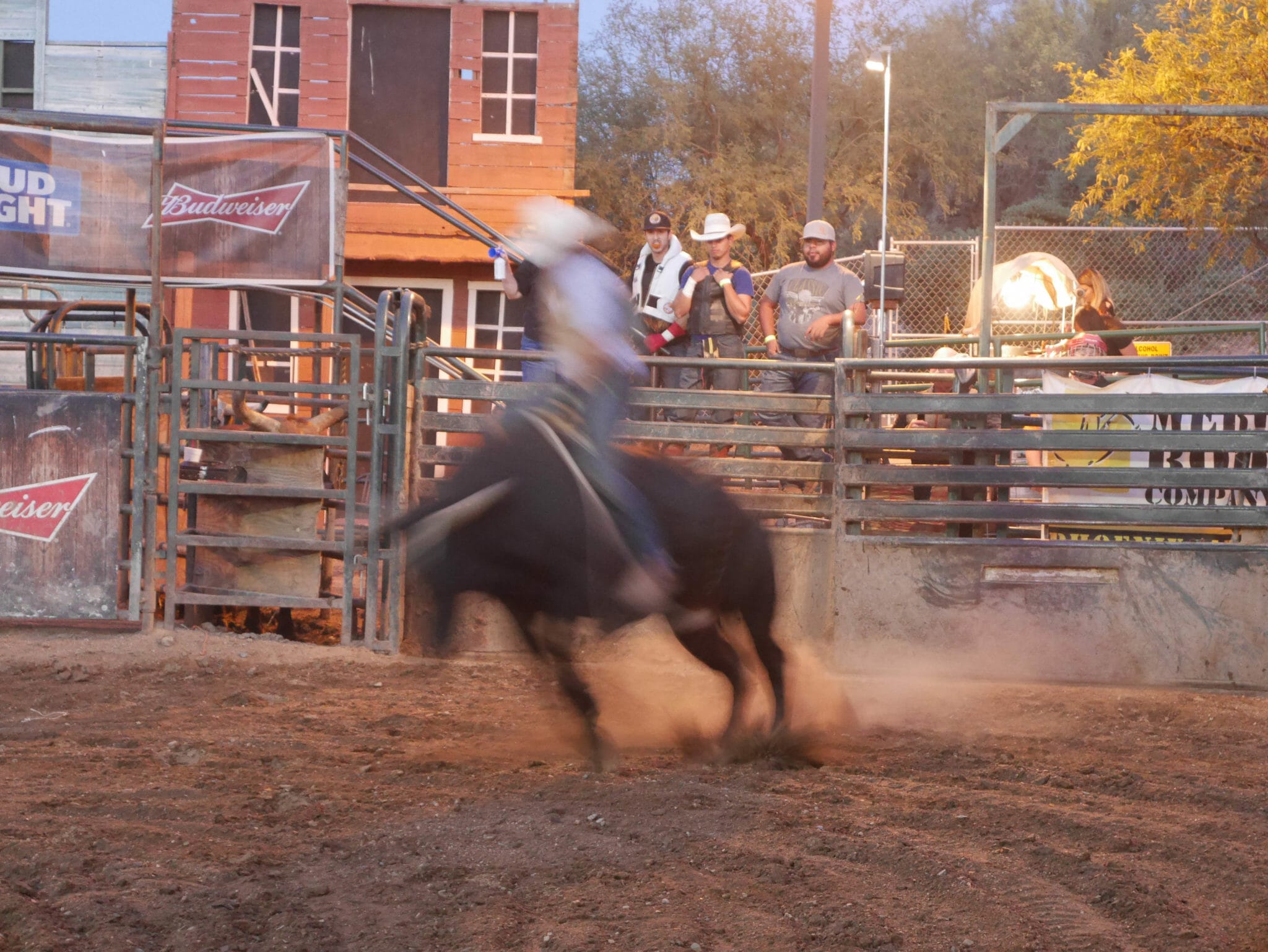 Scottsdale BUFFALO CHIP