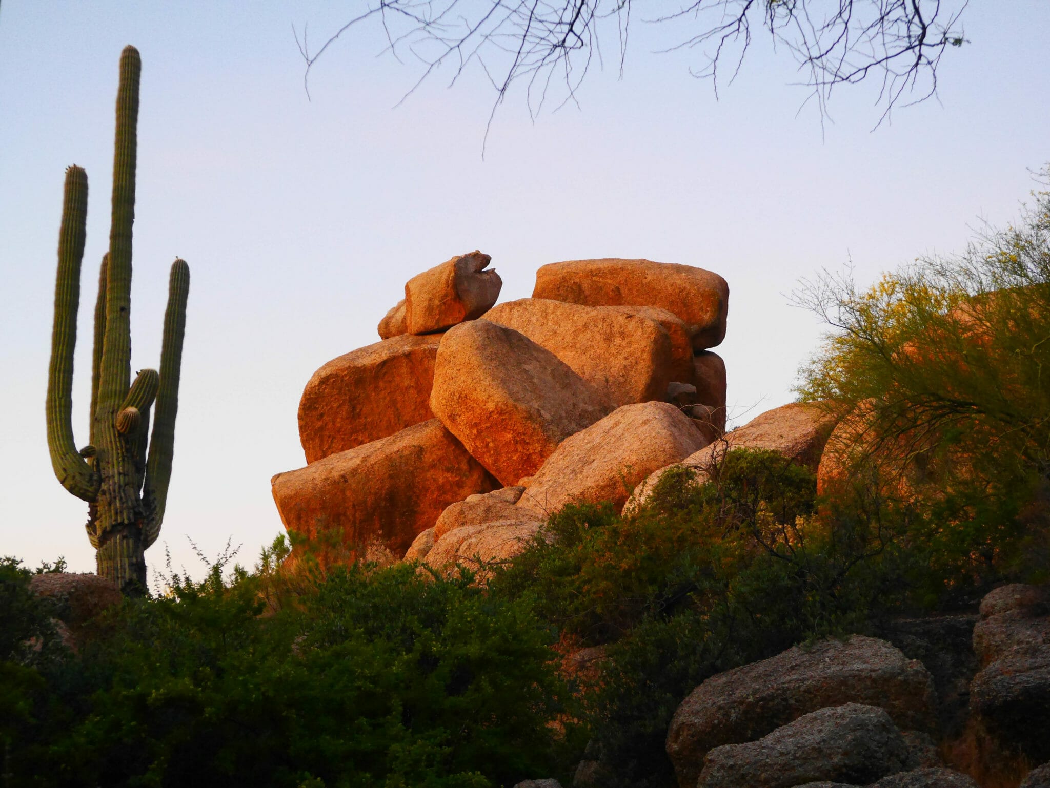 Scottsdale BOULDERS
