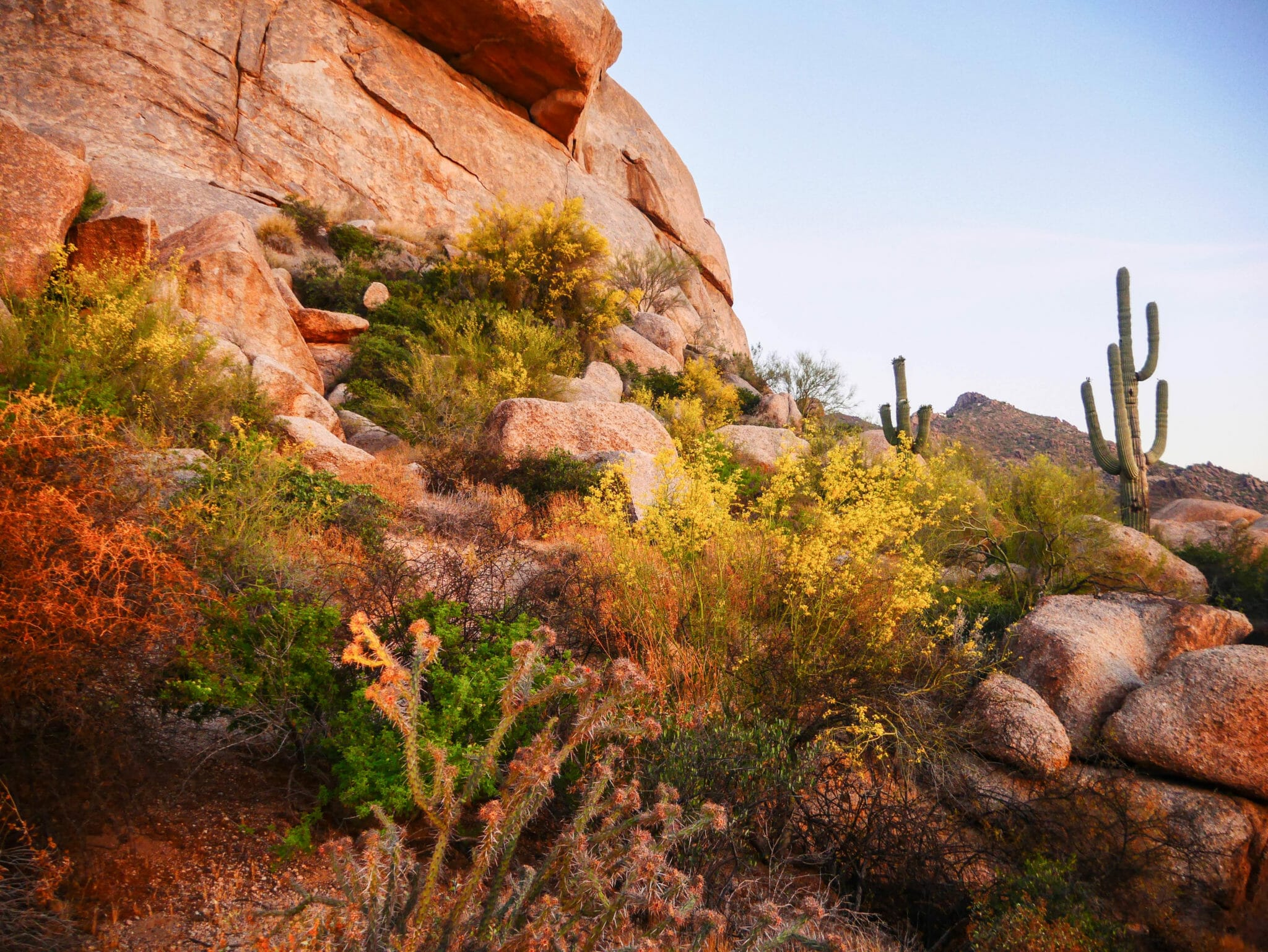 Scottsdale BOULDERS