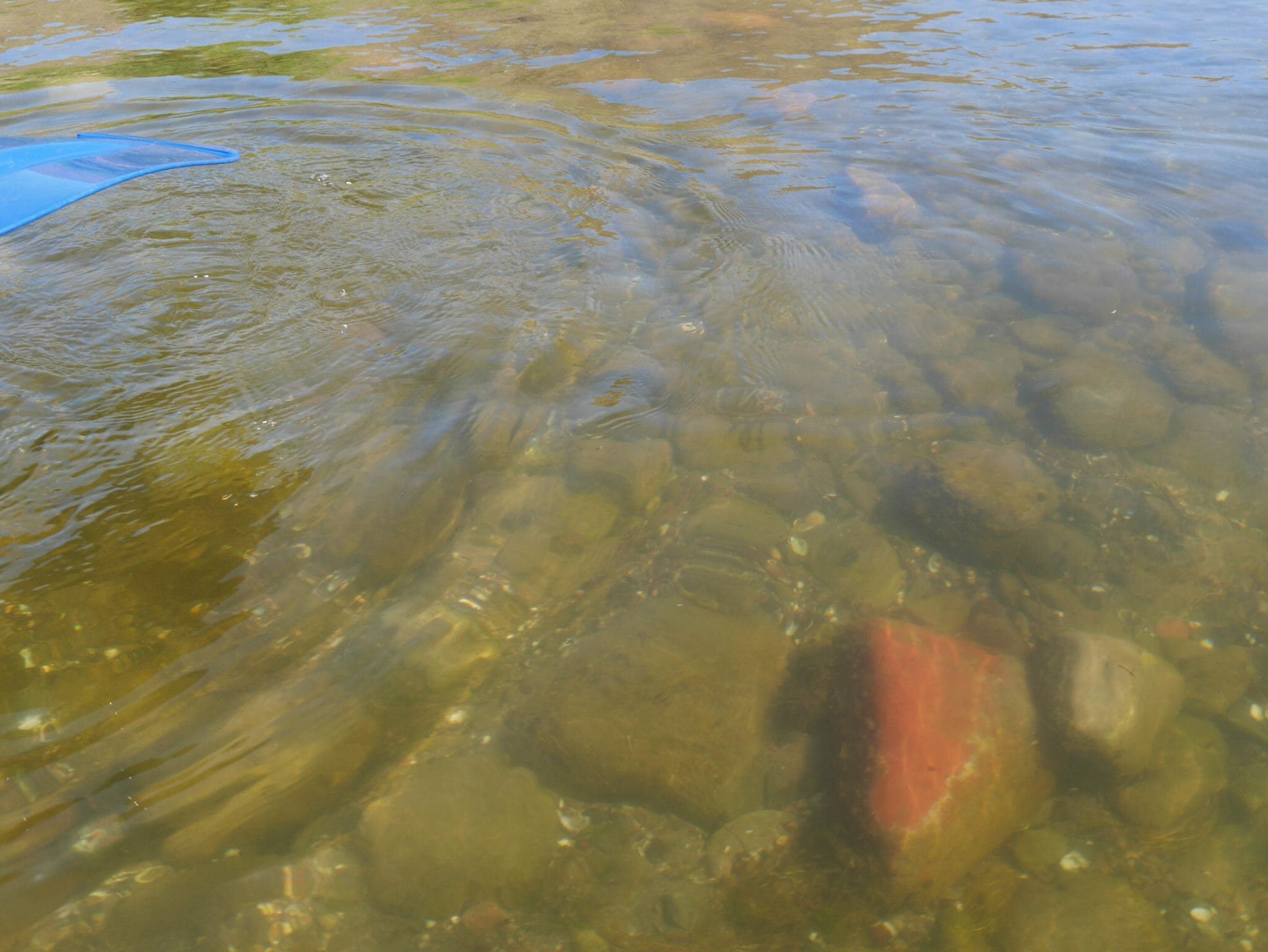 Scottsdale ARIZONA OUTBACK ADVENTURES