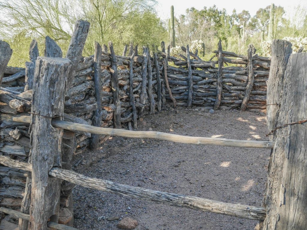 Desert Botanical Garden