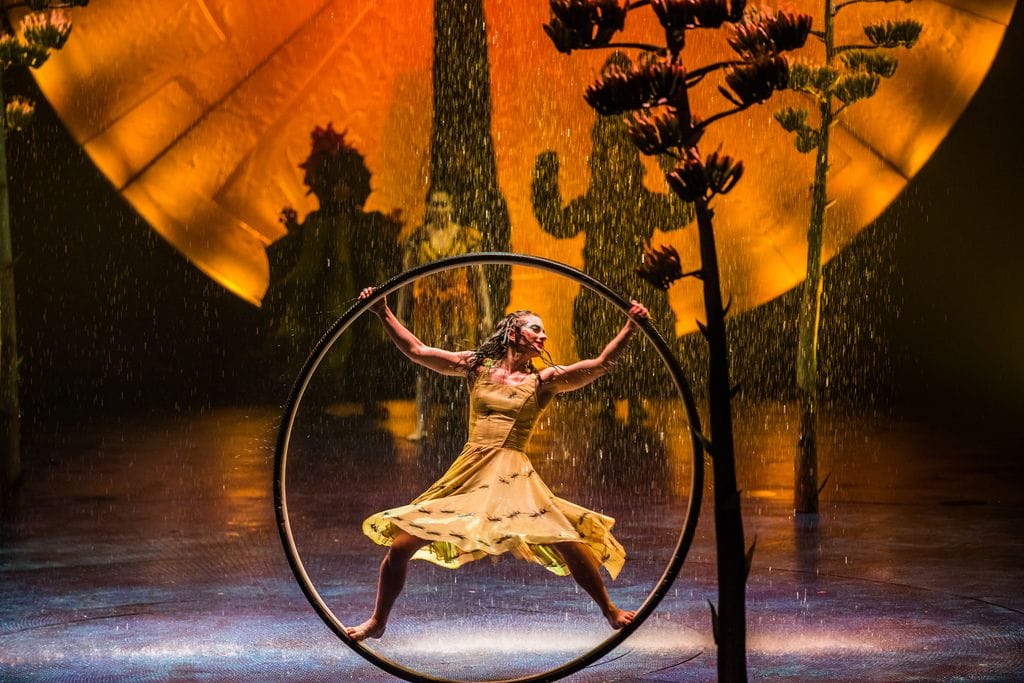 Cirque du Soleil LUZIA