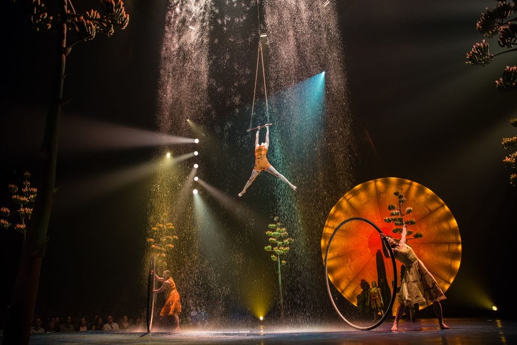 Cirque du Soleil LUZIA