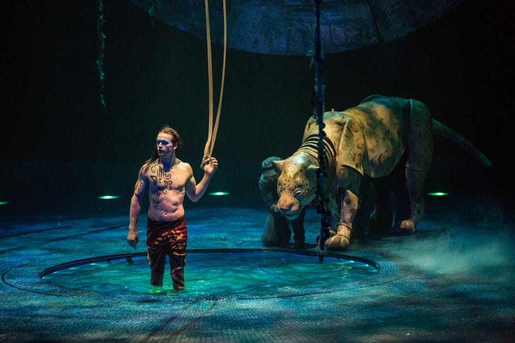 Cirque du Soleil LUZIA