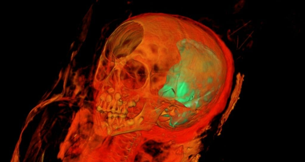 Block Museum PAINT THE EYES