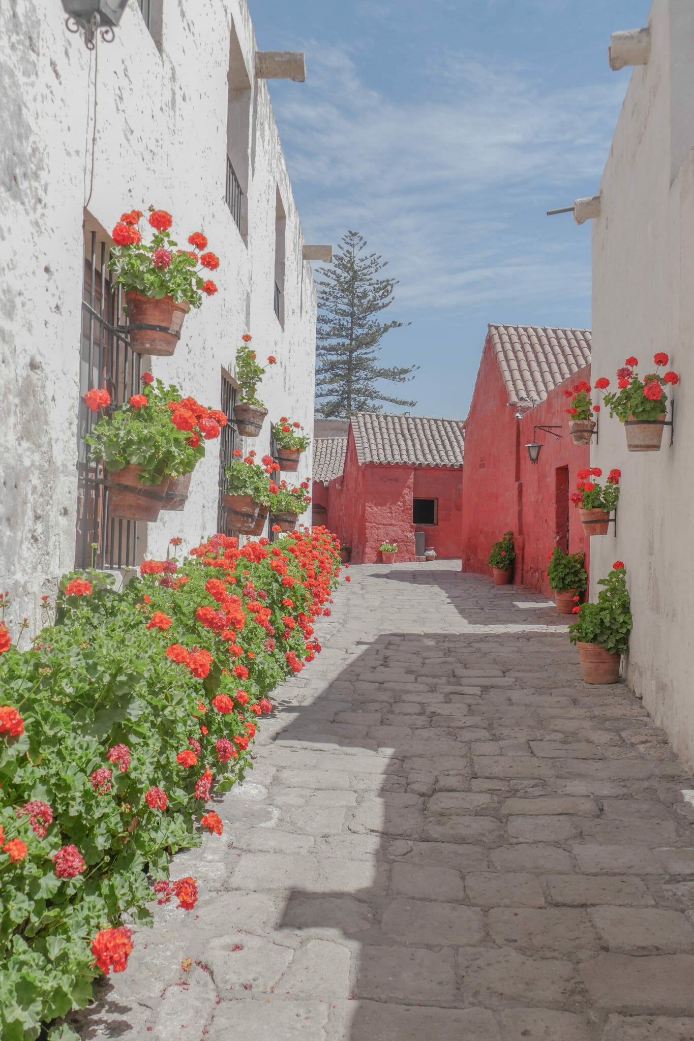 Santa Catalina Monastery Arequipa PERU