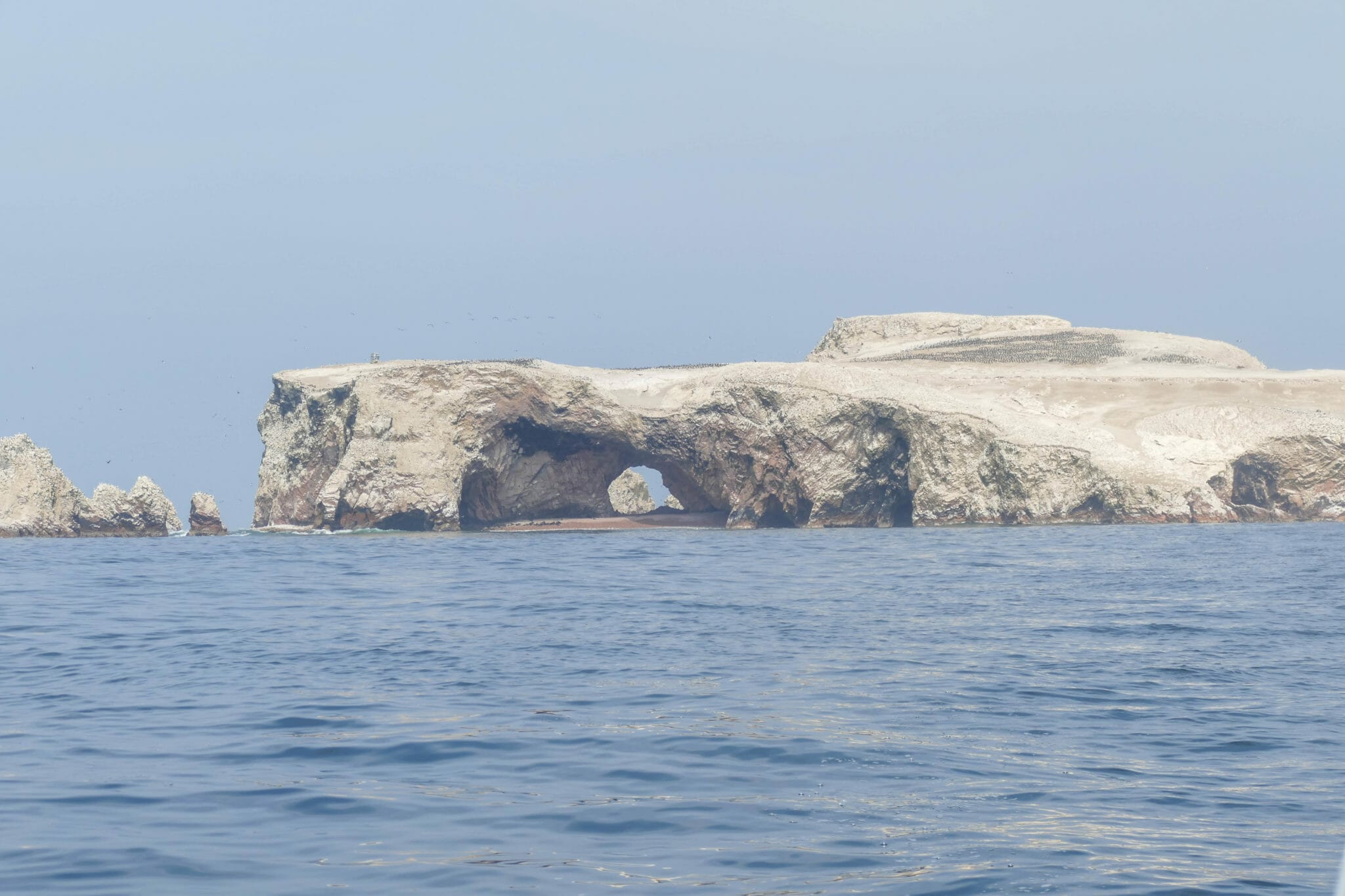 Islas Ballestas PERU