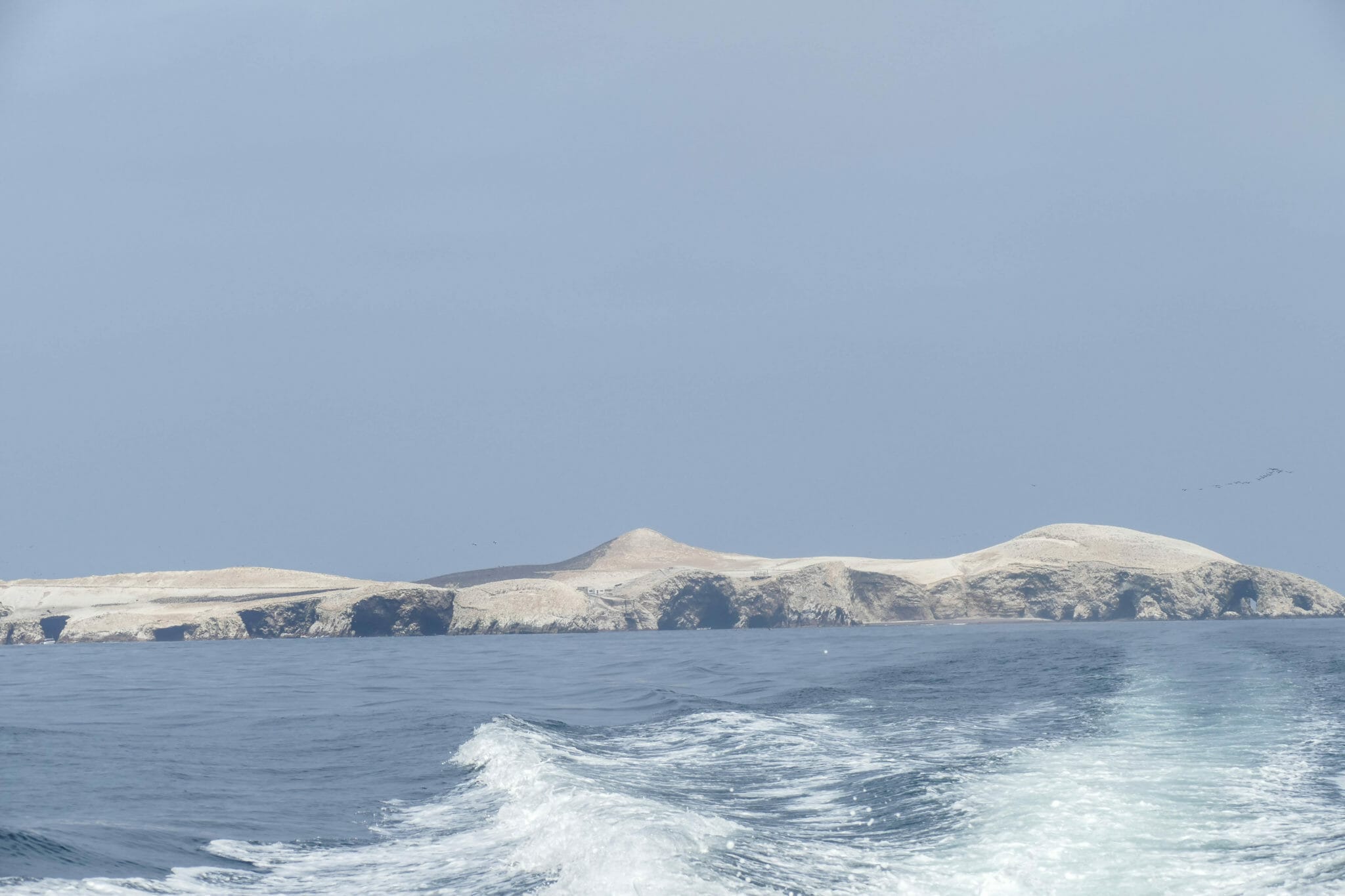 Islas Ballestas PERU