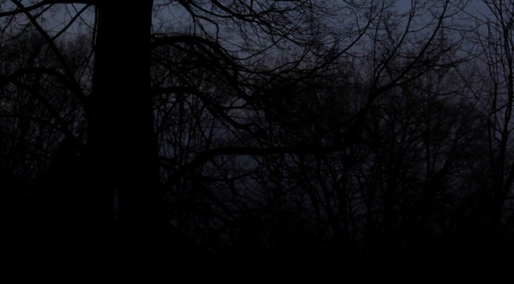 Flying Film Festival NOTTORNO