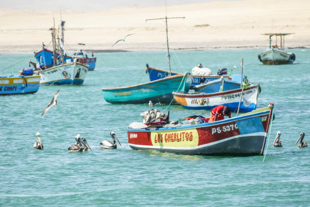 Paracas PERU