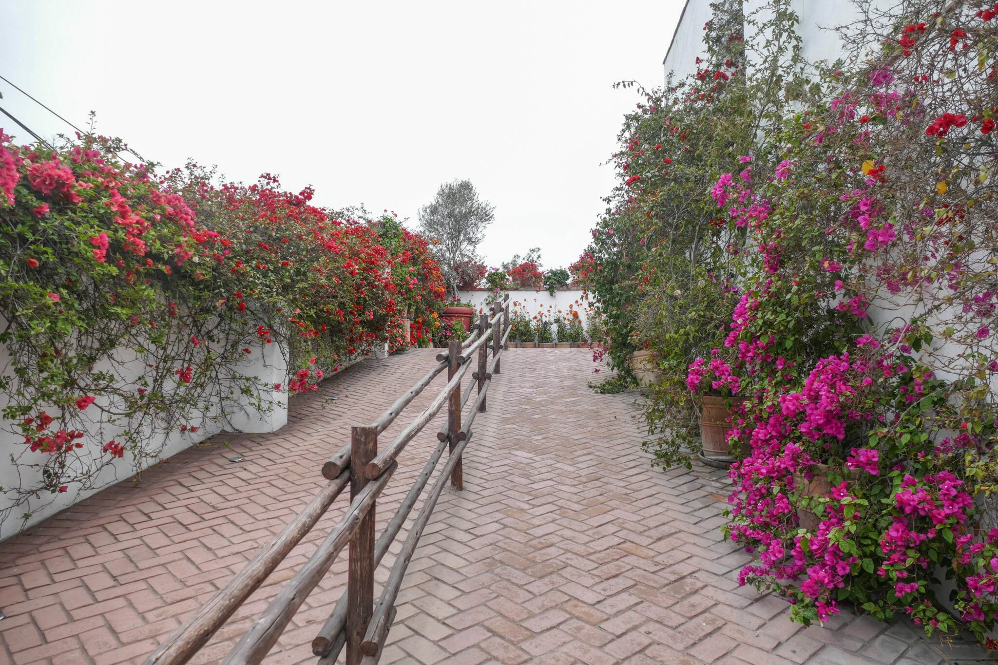 Museo Larco Lima PERU