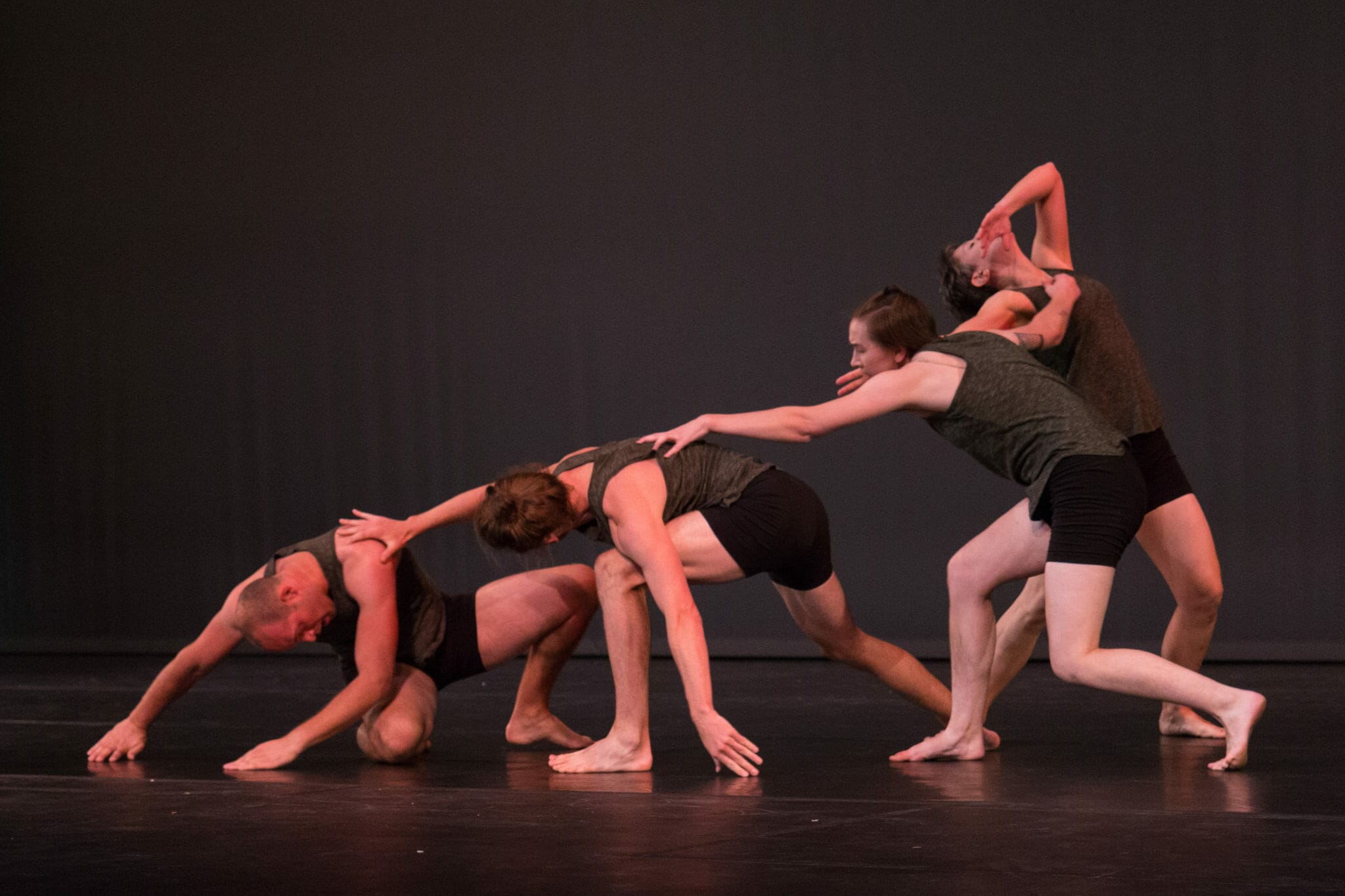 See Chicago Dance & Chicago Cultural Alliance MOVING DIALOGS: CULTURE IN MOTION