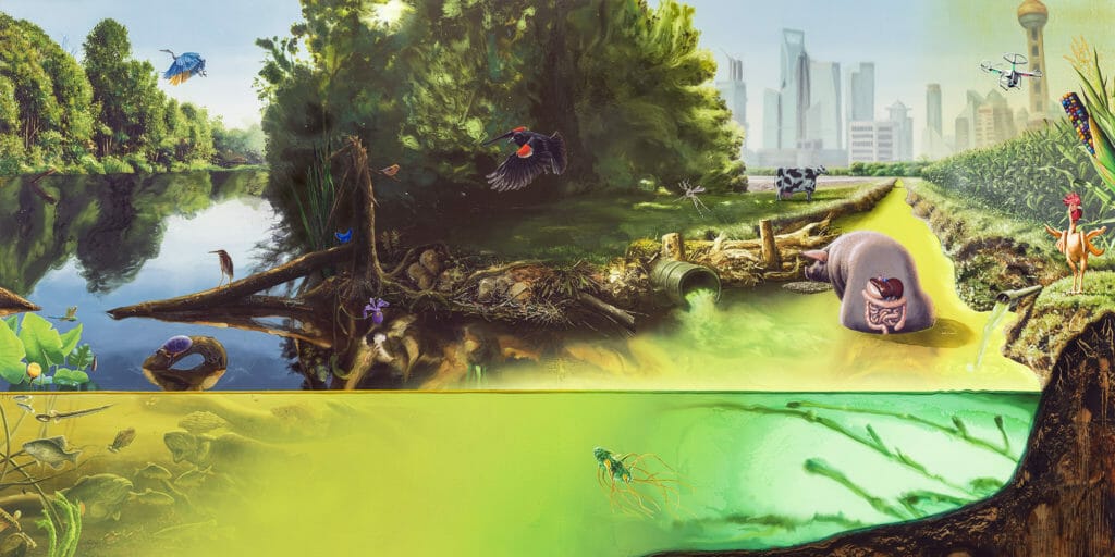 Chicago Cultural Center ALEXIS ROCKMAN THE GREAT LAKES CYCLE