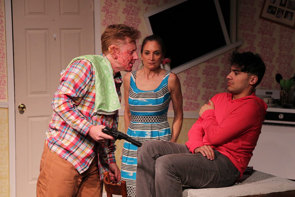 Eclectic Full Contact Theater FUDDY MEERS