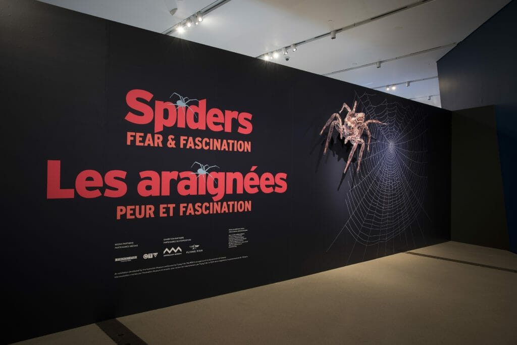 Royal Ontario Museum SPIDERS: FEAR & FASCINATION