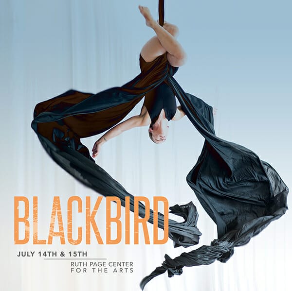 Aerial Dance Chicago BLACKBIRD