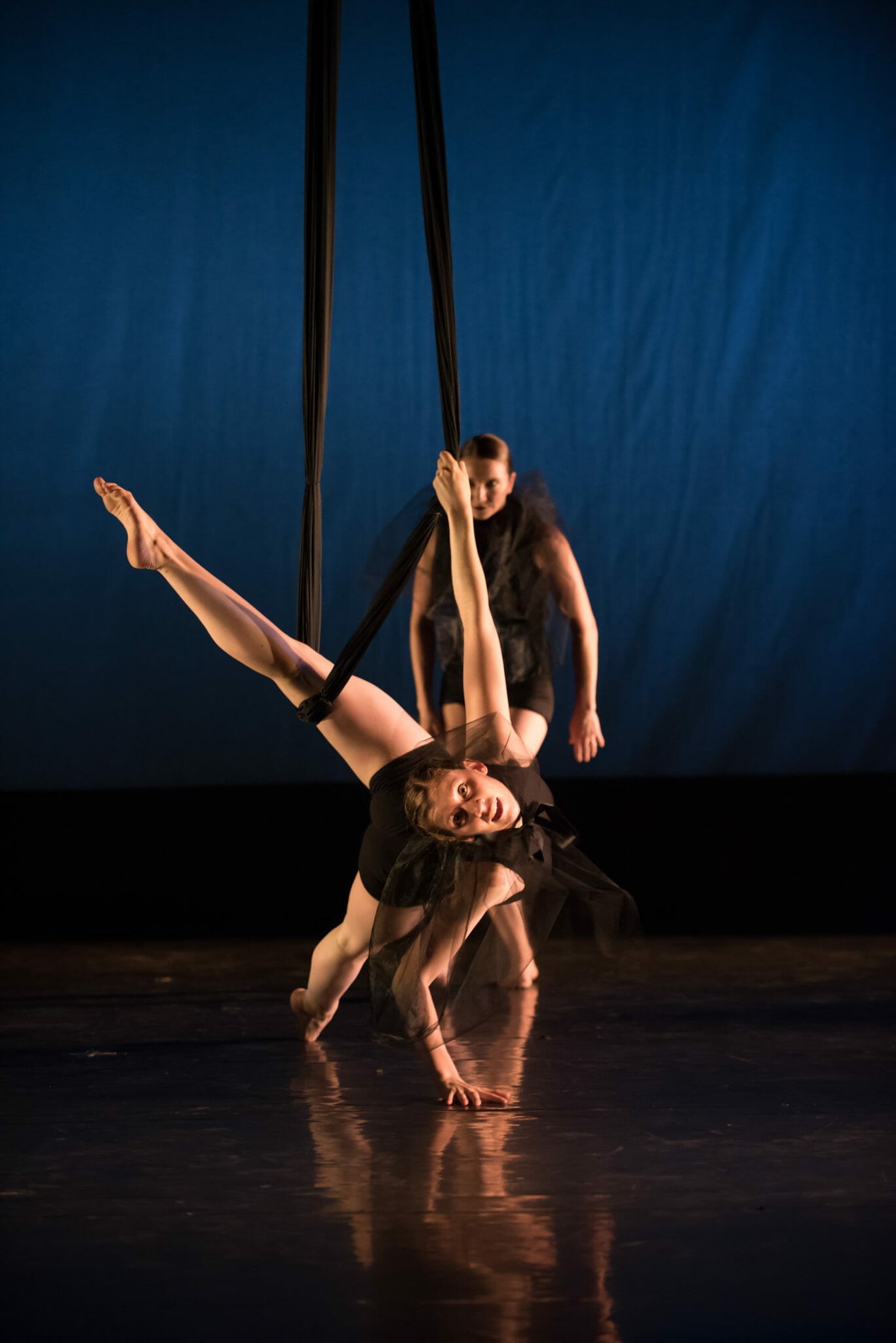 Aerial Dance Chicago BLACKBIRD