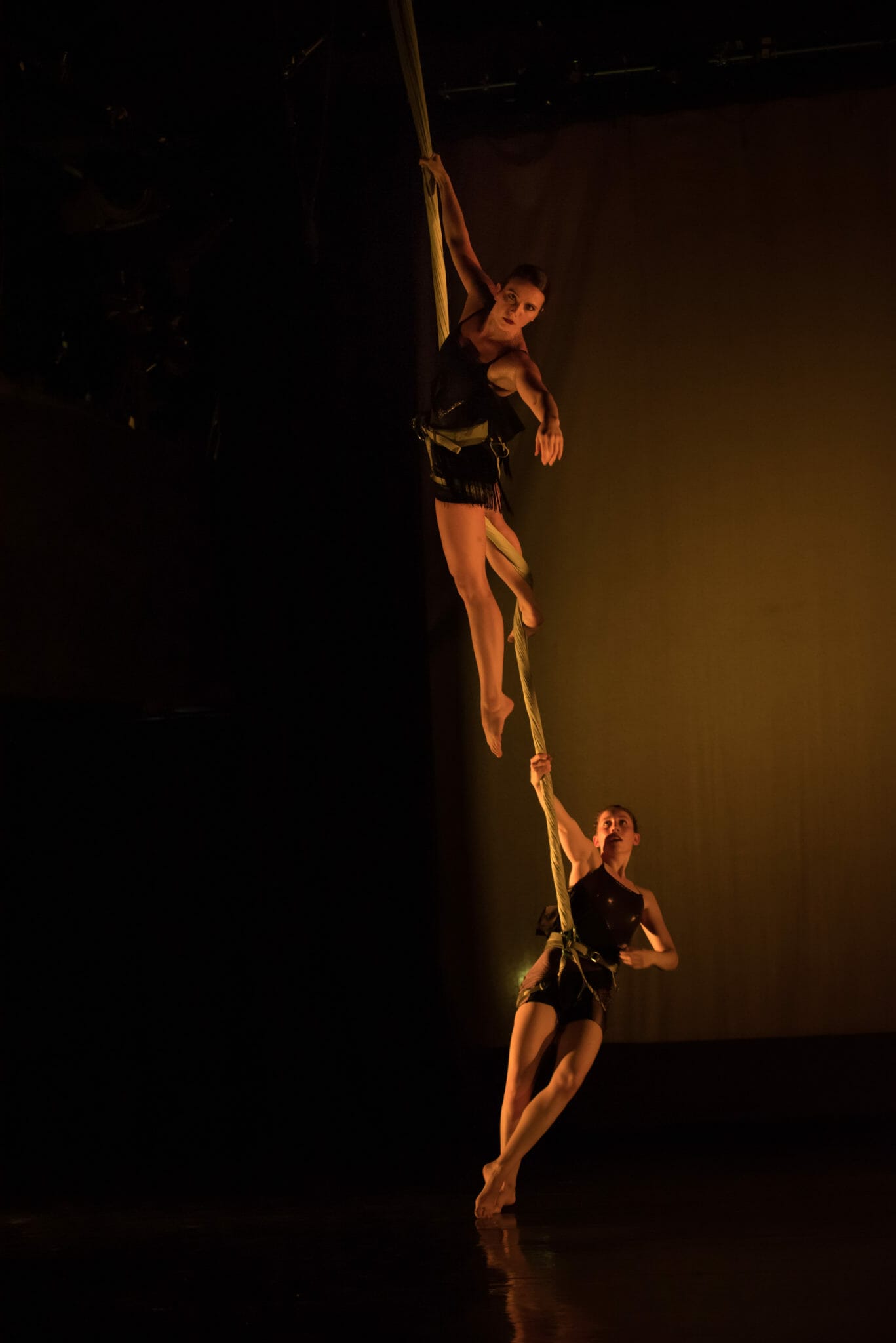 Aerial Dance Chicago BLACKBIRD