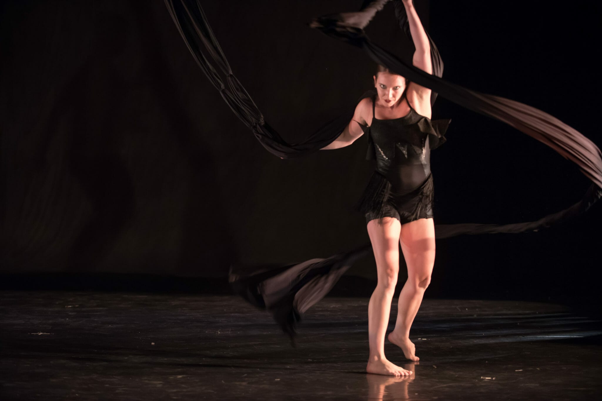 Aerial Dance Chicago BLACKBIRD