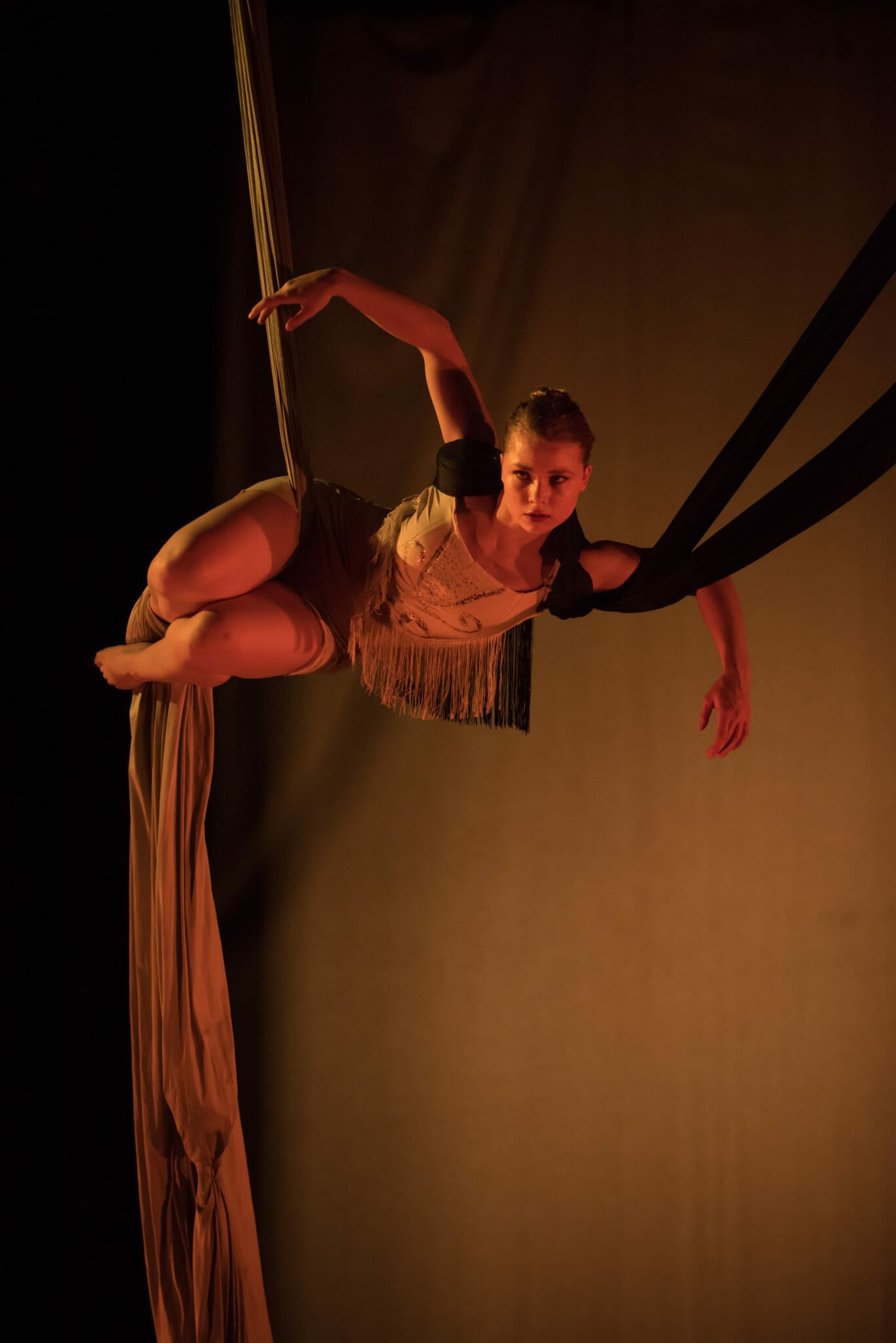 Aerial Dance Chicago BLACKBIRD