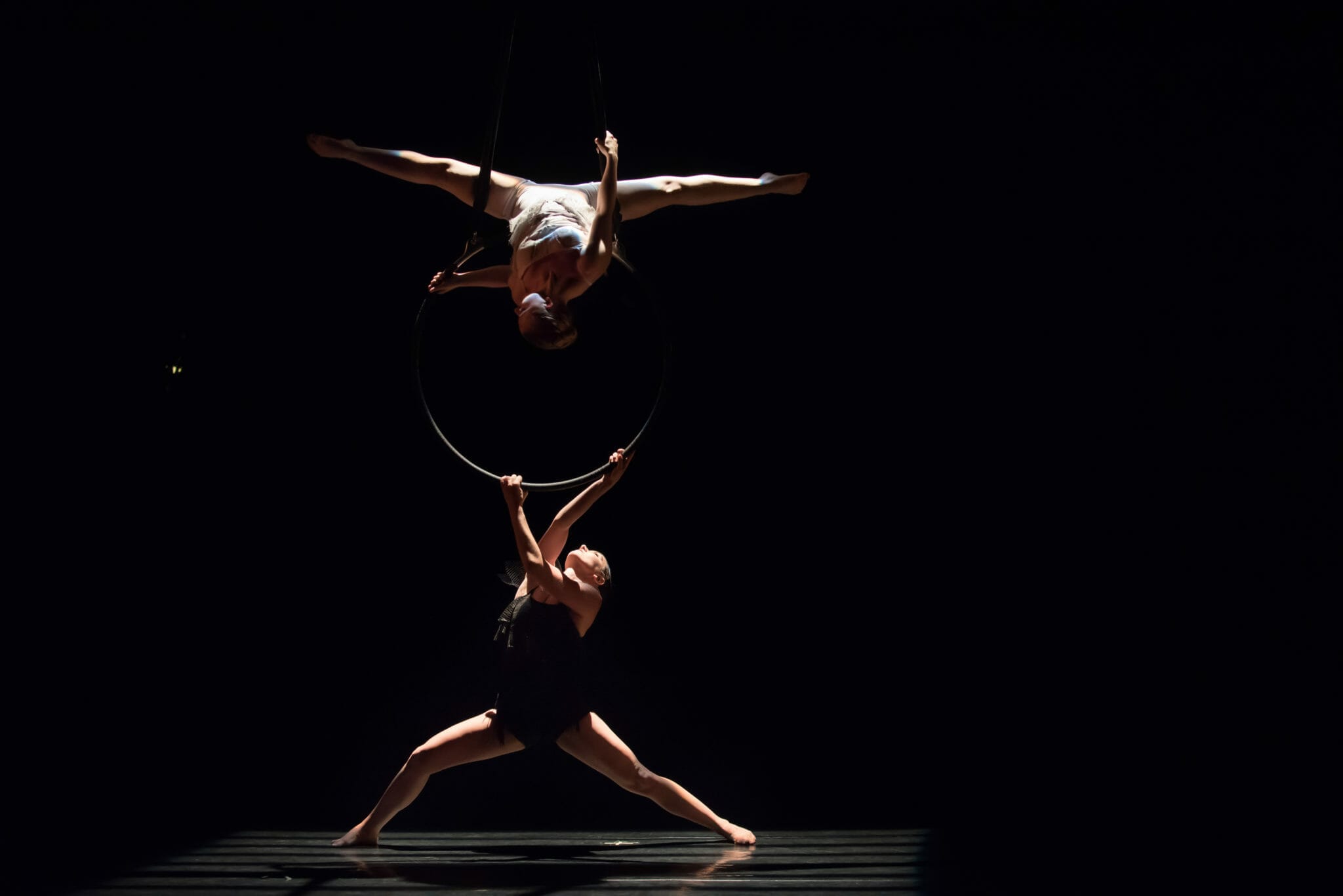 Aerial Dance Chicago BLACKBIRD