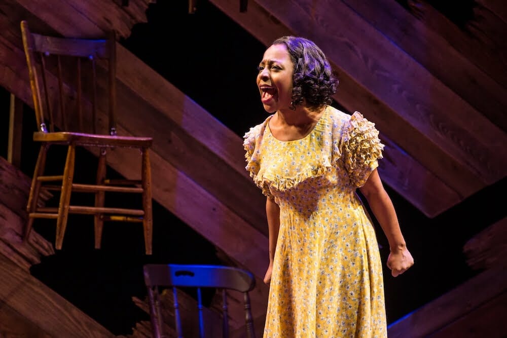 Broadway in Chicago THE COLOR PURPLEBroadway Theater THE COLOR PURPLE