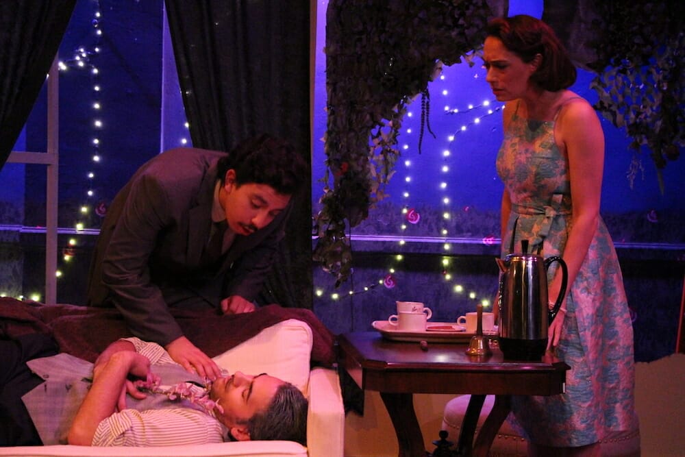 Eclectic Full Contact Theatre DEAR BRUTUS