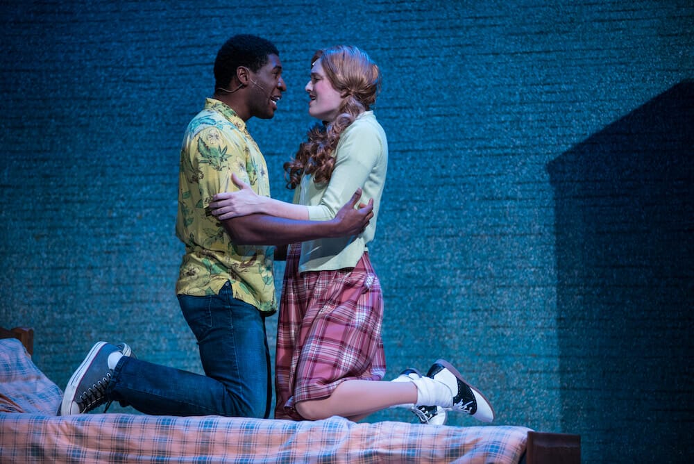 Skylight Music Theatre HAIRSPRAY