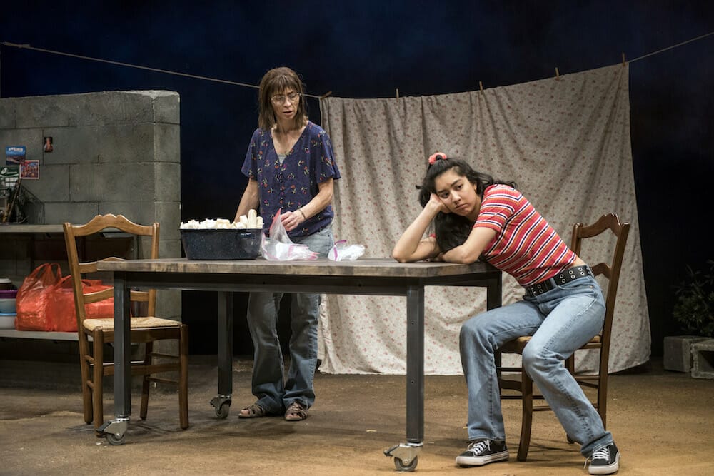 Steppenwolf Theatre LA RUTA