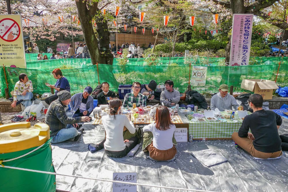 JAPAN TOUR Cherry Blossom Festival