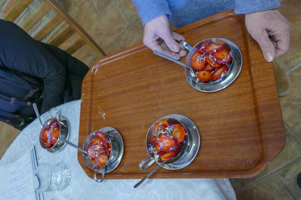 PANICALE Divertimento