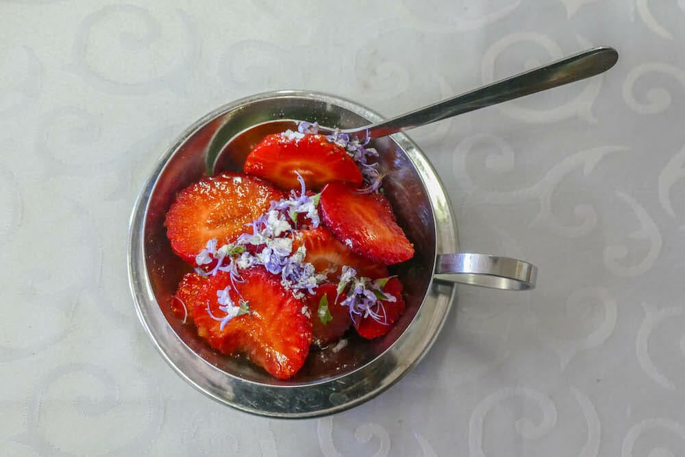 PANICALE Divertimento