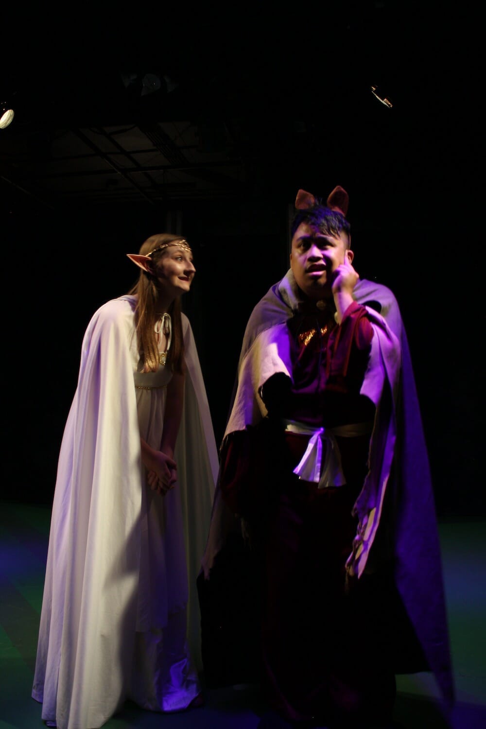 Otherworld Theatre STUPID SHAKESPEARE’S SUPER RICHARD WORLD 3