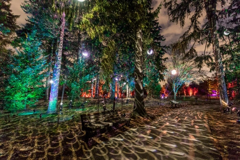 Morton Arboretum ILLUMINATION: TREE LIGHTS