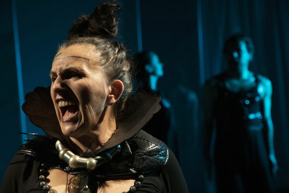 Trap Door Theatre THE WHITE PLAGUE