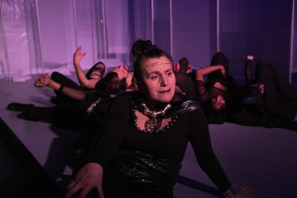 Trap Door Theatre THE WHITE PLAGUE