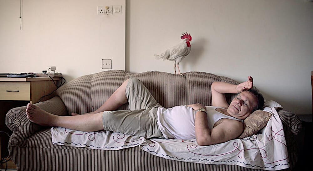 FLYING FILM FESTIVAL 2019!!!