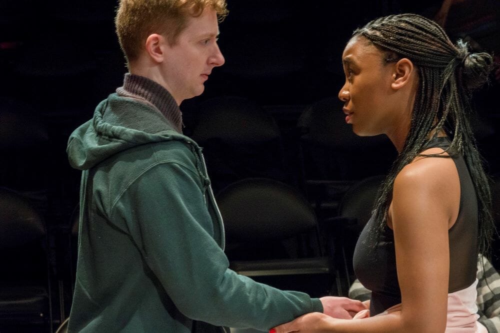 Theater Wit TEENAGE DICK