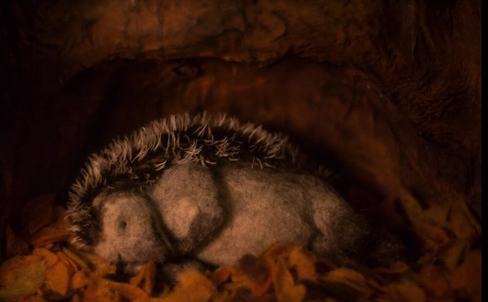 OVID.tv HEDGEHOG'S HOME