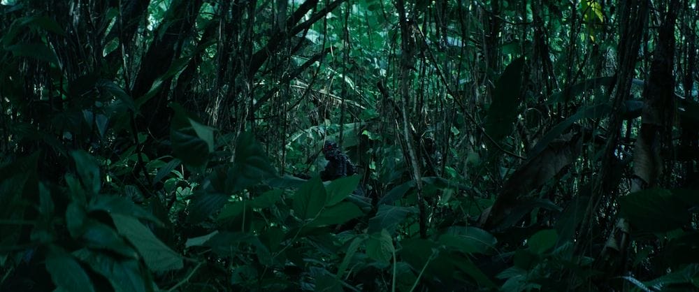 Nova Frontier Film Festival DOUBOUT