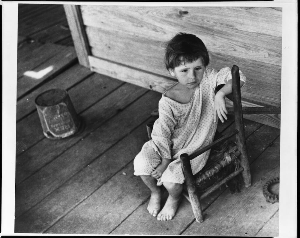 Walker Evans: Starting From Scratch Book Review - Picture This Post