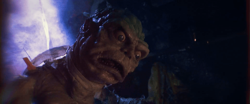 Film Maudit 2.0 HOSPITAL DUMPSTER DIVERS