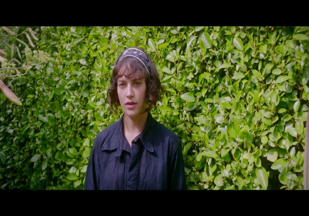 Chesapeake Film Festival THIS BEAUTIFUL FANTASTIC