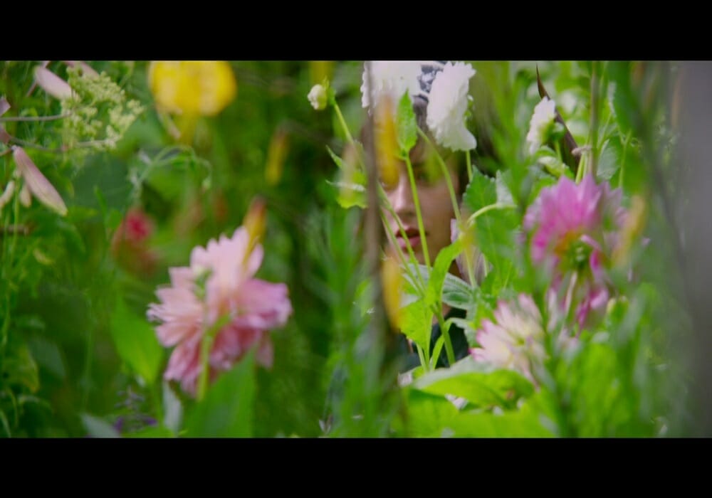 Chesapeake Film Festival THIS BEAUTIFUL FANTASTIC