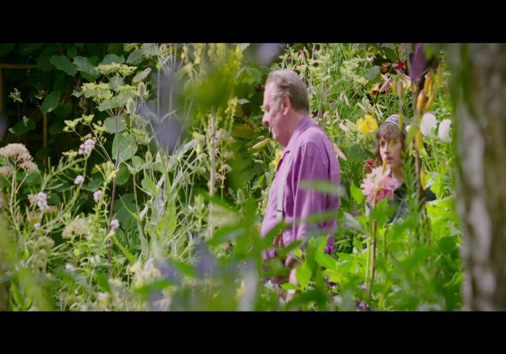 Chesapeake Film Festival THIS BEAUTIFUL FANTASTIC