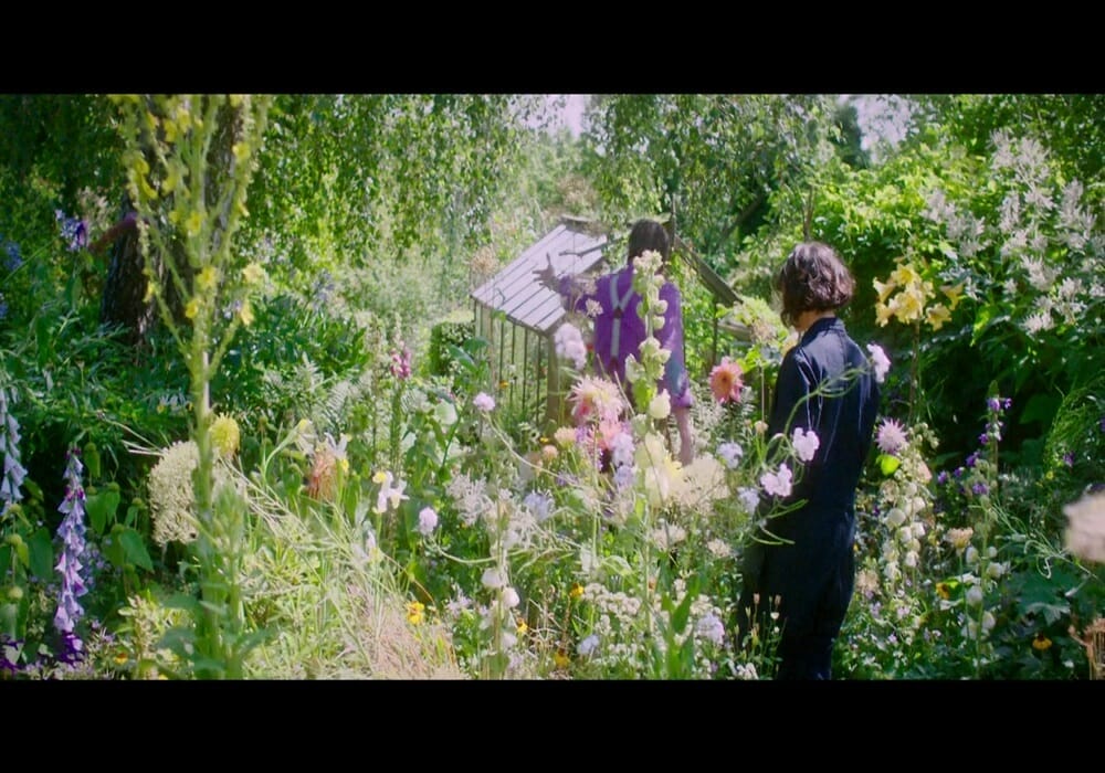 Chesapeake Film Festival THIS BEAUTIFUL FANTASTIC