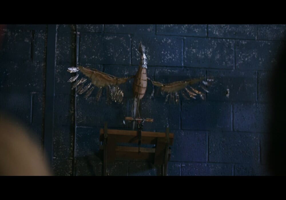 Chesapeake Film Festival THIS BEAUTIFUL FANTASTIC