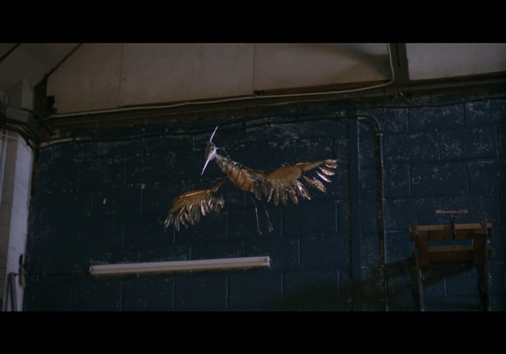 Chesapeake Film Festival THIS BEAUTIFUL FANTASTIC