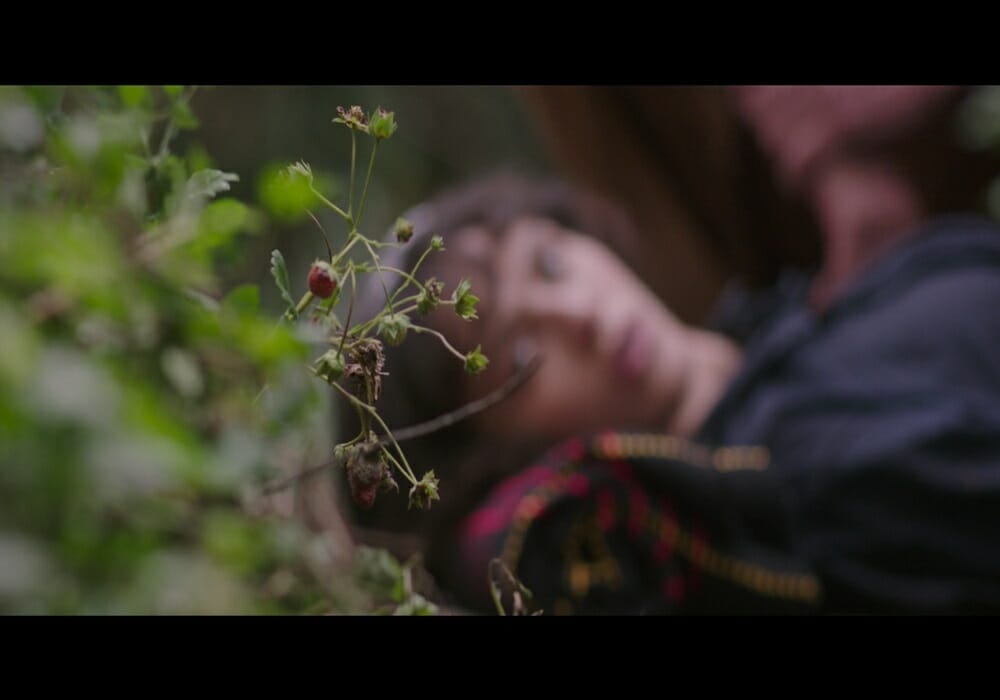 Chesapeake Film Festival THIS BEAUTIFUL FANTASTIC