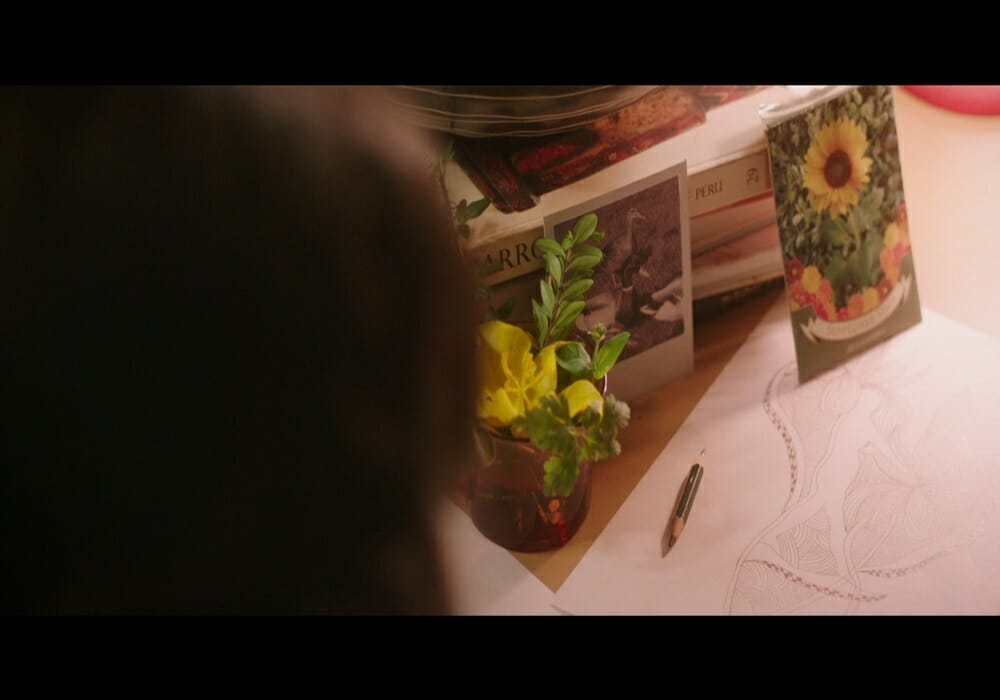 Chesapeake Film Festival THIS BEAUTIFUL FANTASTIC